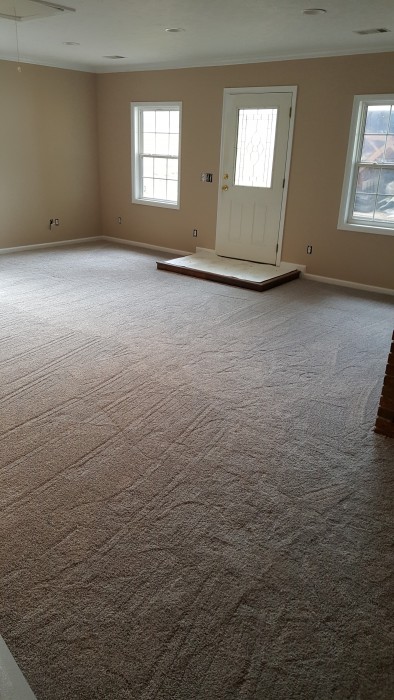 Carpet Test